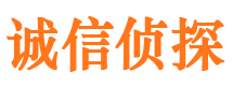 长宁婚外情调查取证